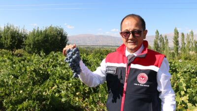 Erzincan Tarım ve Orman İl Müdürü Alper Koçaker, Erzincan merkeze