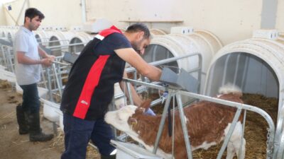 Türkiye’de 1965 yılından bu yana ilk kez görülen SAT-1 serotipine