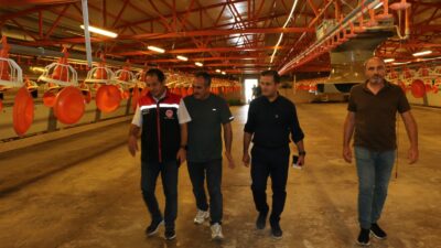 Erzincan’da hayvancılık sektörünün önemli kollarından biri olan broiler (etlik piliç)