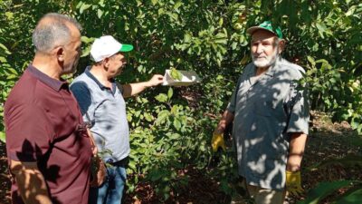 Erzincan’da tarımsal üretime zarar veren zararlılara karşı mücadele hız kesmeden