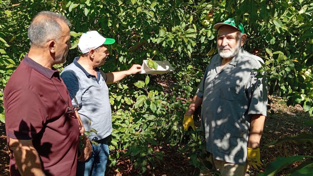 Erzincan’da tarımsal üretime zarar veren zararlılara karşı mücadele hız kesmeden