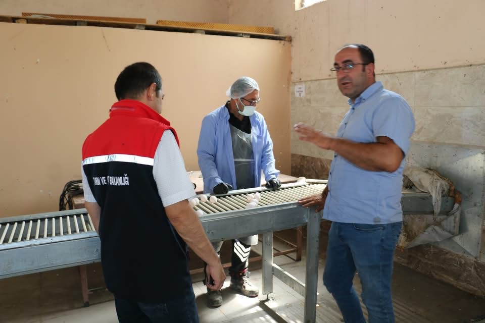 Erzincan Tarım ve Orman İl Müdürü Alper Koçaker, Akyazı Mahallesi’nde