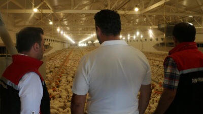 Erzincan’da modern üretim teknikleriyle faaliyet gösteren broiler işletmeleri, hem il