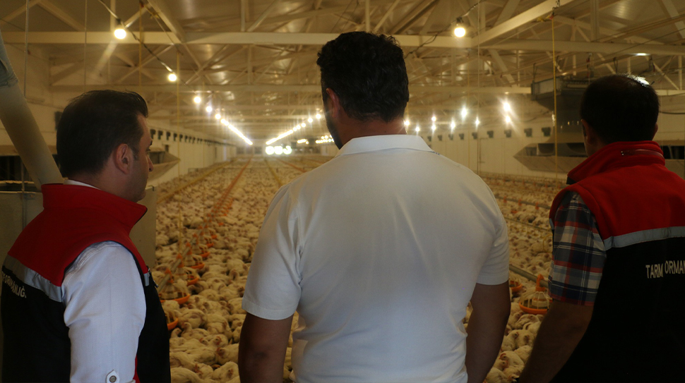 Erzincan’da modern üretim teknikleriyle faaliyet gösteren broiler işletmeleri, hem il