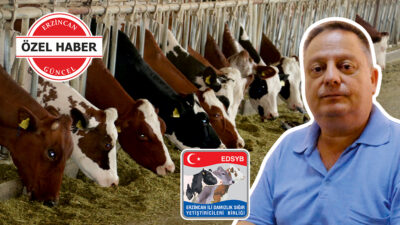 Haber: Muhammed Enes Sevilir Erzincan Damızlık Sığır Yetiştiricileri Birliği Başkanı