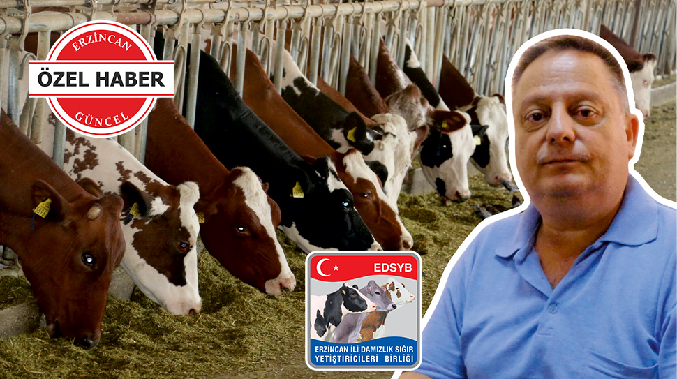 Haber: Muhammed Enes Sevilir Erzincan Damızlık Sığır Yetiştiricileri Birliği Başkanı