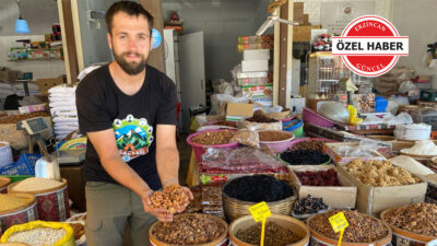 Erzincan Buğday Meydanı’nda kuru meyve satışları hız kazandı. Ancak kayısı,