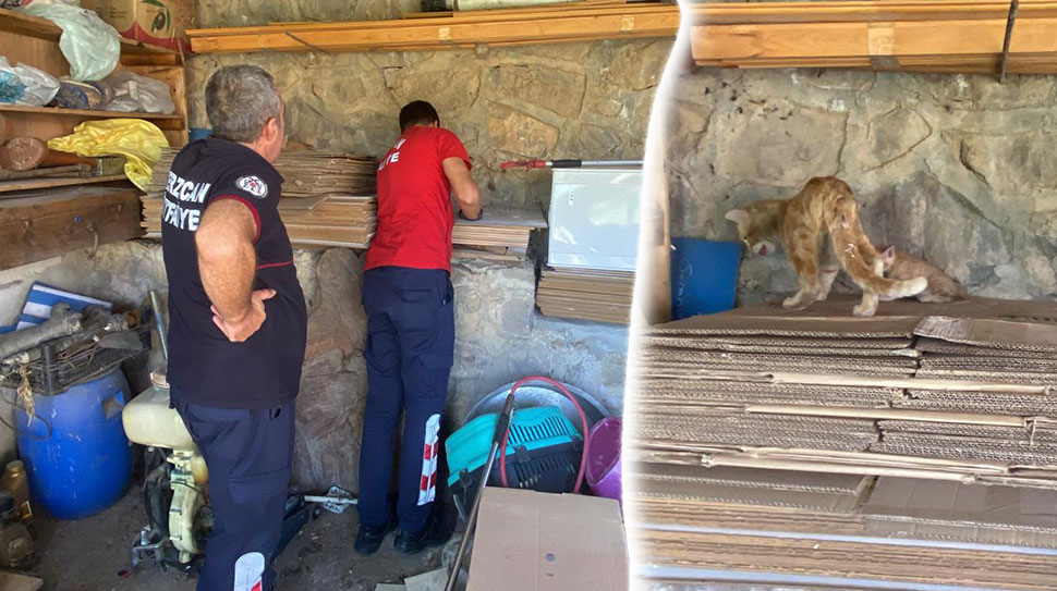 Haber: Muhammed Enes SEVİLİR Erzincan’da bir kedi yavrusu, sıkıştığı borudan