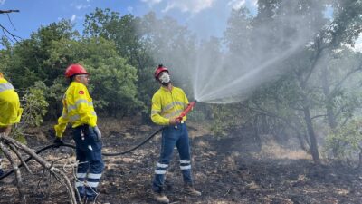 Erzincan’ın İliç ilçesine bağlı Bağcuğaz köyünde çıkan orman ve mera