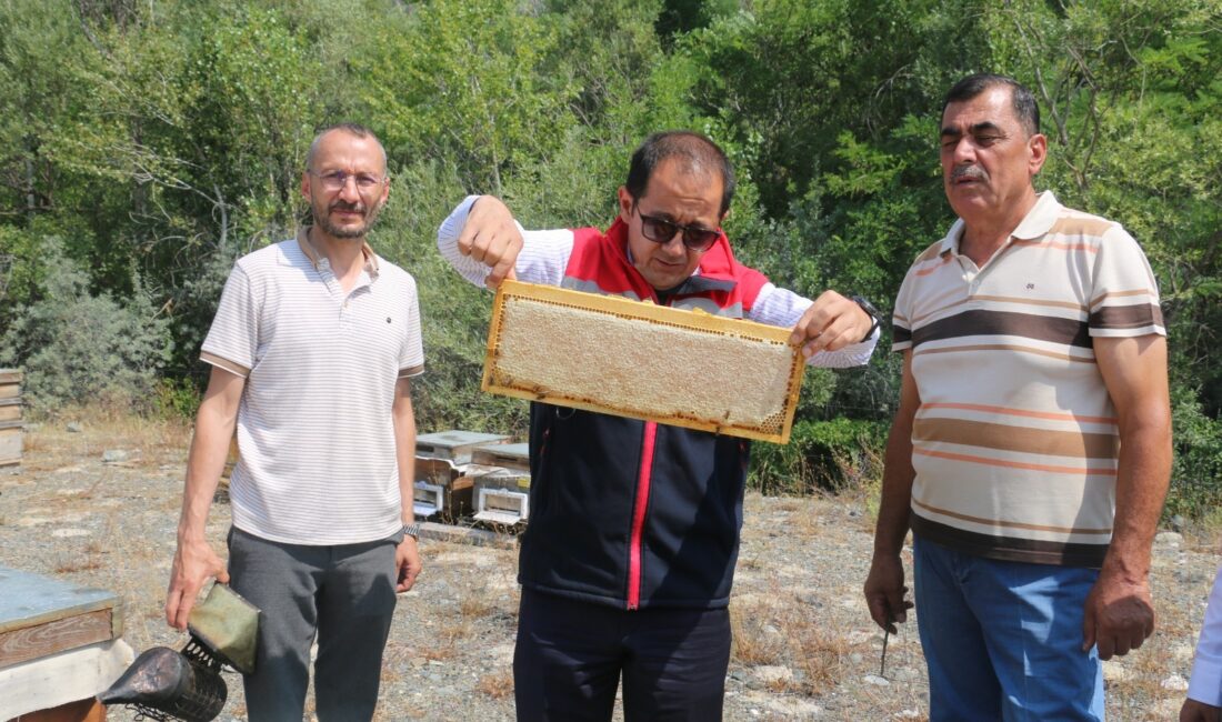 Erzincan’da ağustos ayının gelmesiyle birlikte, bölgenin eşsiz doğasında üretilen meşhur