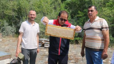 Erzincan’da ağustos ayının gelmesiyle birlikte, bölgenin eşsiz doğasında üretilen meşhur