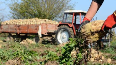 Türkiye’de 2025-2026 pazarlama yılına ilişkin şeker kotaları Cumhurbaşkanı Kararı ile