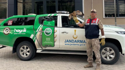 Haber: Muhammed Enes Sevilir Erzincan’ın Çağlayan Jandarma Karakol Komutanlığı sorumluluk