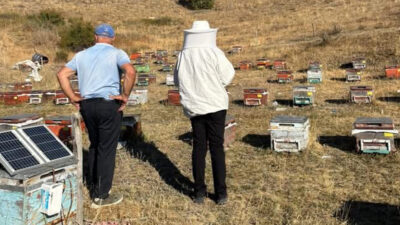 Haber: Muhammed Enes Sevilir Erzincan’ın Otlukbeli ilçesinde arıcılık faaliyetleri sürüyor.