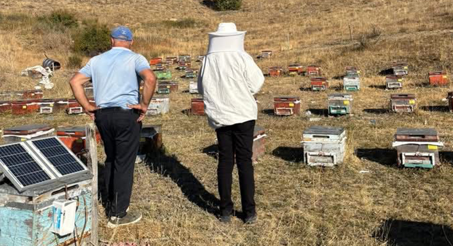 Haber: Muhammed Enes Sevilir Erzincan’ın Otlukbeli ilçesinde arıcılık faaliyetleri sürüyor.