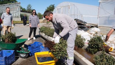 Haber: Muhammed Enes Sevilir Erzincan Belediyesi, şehre hem estetik hem