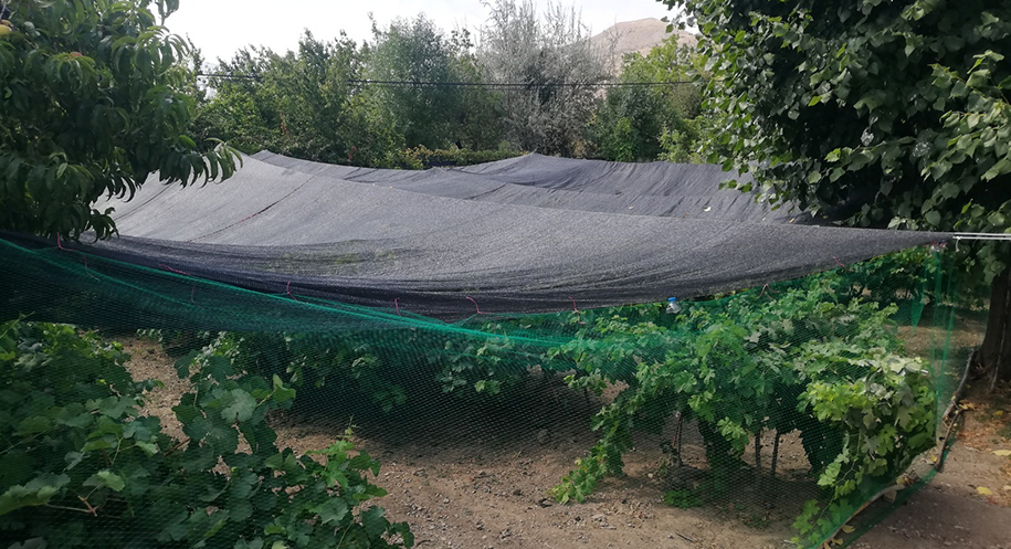 Haber: Muhammed Enes Sevilir Erzincan’ın coğrafi işaretli ürünleri arasında yer