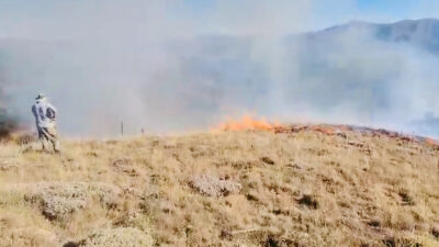 Haber: Muzaffer Alper Erzincan’ın Refahiye ilçesine bağlı Orçul bölgesinde çıkan