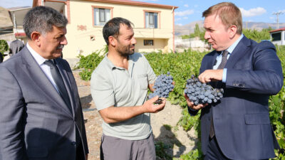 Haber: Muhammed Enes Sevilir Erzincan’ın Üzümlü ilçesinde üzüm hasadı başladı.