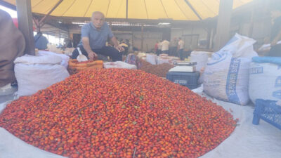 Erzincan’ın alışveriş merkezlerinden biri olan Buğday Meydanı’nda, Eylül ayıyla birlikte