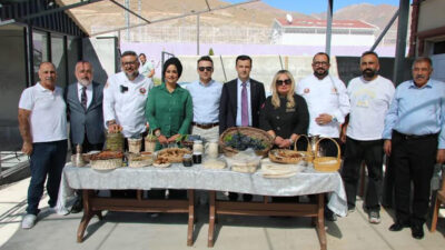 Haber: Muhammed Enes Sevilir Erzincan’ın Üzümlü ilçesinde yetişen ve Türkiye’nin