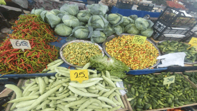 Erzincan’da Eylül ayına girmesiyle vatandaşlar turşuluk ve kışlık malzemeleri almak