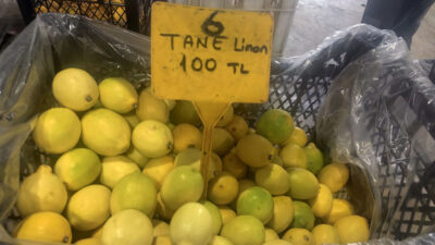 Salatadan çorbaya kadar kullanılan limon artık mutfaklara girmekte zorlanıyor. Erzincan’da