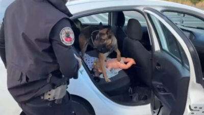 Haber: Muhammed Enes Sevilir Erzincan’da polis ekiplerinin gerçekleştirdiği başarılı operasyon