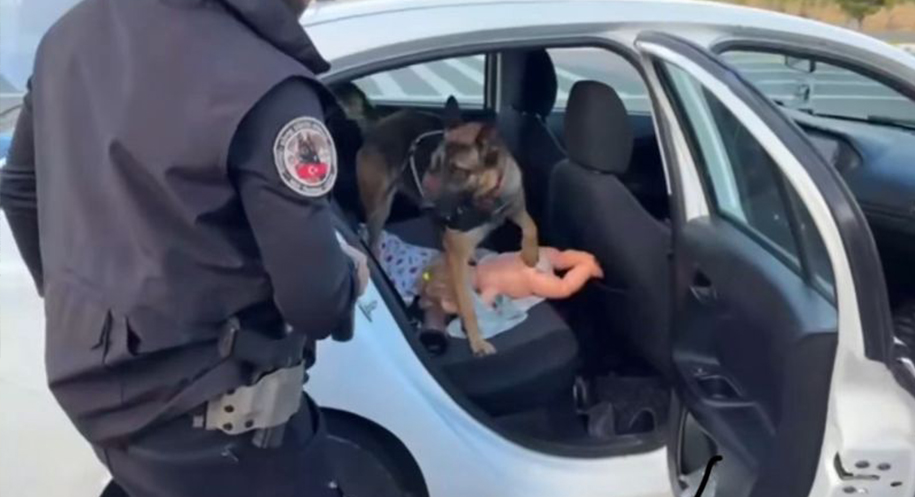 Haber: Muhammed Enes Sevilir Erzincan’da polis ekiplerinin gerçekleştirdiği başarılı operasyon