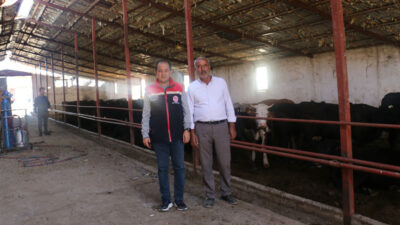 Haber: Muhammed Enes SEVİLİR Erzincan’ın Kilimli köyünde tarımsal üretim ve