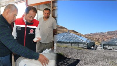 Binlerce Yıllık Lezzet Kemah Tuzu, Dünyanın İlk Tuz Seralarında Üretiliyor Erzincan’ın Kemah ilçesinden çıkan doğal tuz, dünyanın ilk “tuz seralarında”