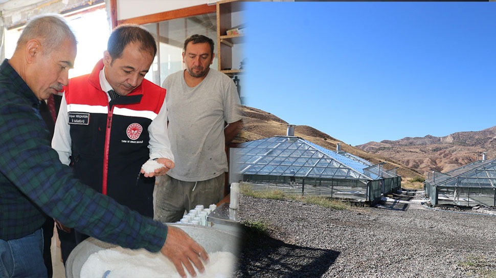 Binlerce Yıllık Lezzet Kemah Tuzu, Dünyanın İlk Tuz Seralarında Üretiliyor Erzincan’ın Kemah ilçesinden çıkan doğal tuz, dünyanın ilk “tuz seralarında”