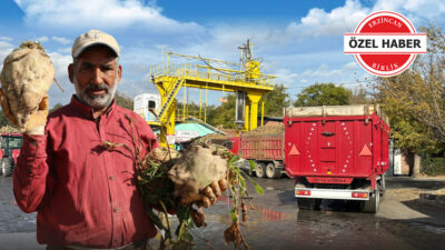 Haber: Muhammed Enes SEVİLİR Erzincan Şeker Fabrikası, 2025-2026 üretim sezonunda