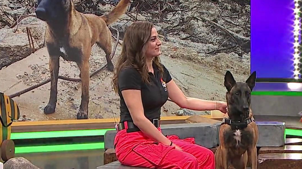 Haber: Muhammed Enes SEVİLİR Erzincan, Almanya merkezli I.S.A.R. Germany iş