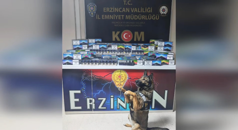 Haber: Muhammed Enes Sevilir Erzincan’da kaçakçılık ve organize suçlarla mücadele