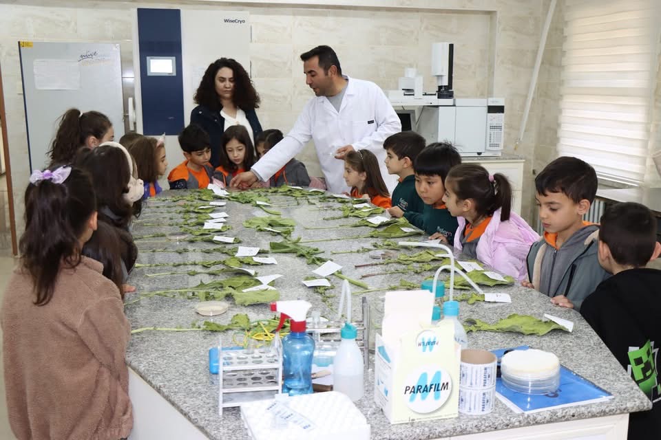 Haber: Muhammed Enes Sevilir Erzincan Özel Fidem Okulları öğretmen ve