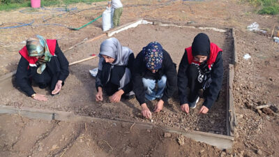 Haber: Muhammed Enes SEVİLİR Erzincan, tarımda yeni ürün arayışlarını sürdürüyor.