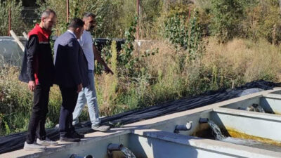 Haber: Muhammed Enes Sevilir Kemah İlçe Tarım ve Orman Müdürlüğü