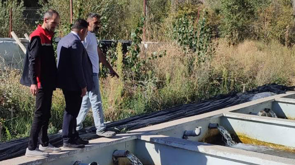 Haber: Muhammed Enes Sevilir Kemah İlçe Tarım ve Orman Müdürlüğü