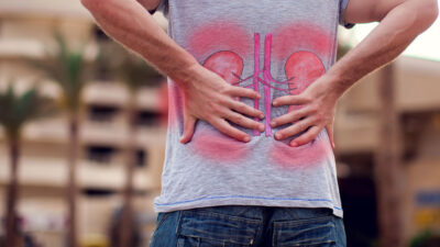 Kronik Böbrek Hastalığı Nedir? Kronik böbrek hastalığı, böbrek işlevinin yıllar