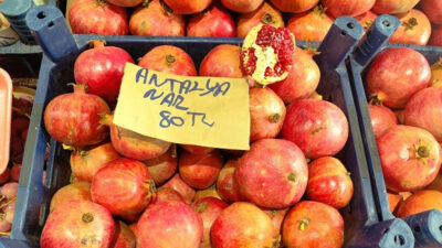 Erzincan’da nar sezonu resmen başladı. Yaz mevsiminin sona ermesiyle birlikte