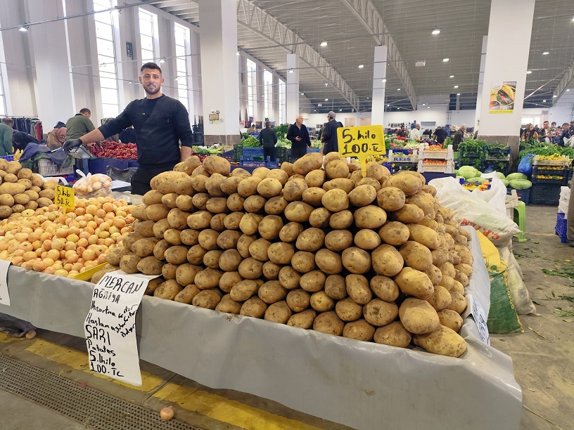 Erzincan’ın bereketli Mercan ovasında patates üreticileri bu sezonun yüz güldürdüğünü
