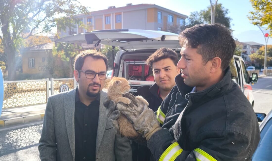 Haber: Muhammed Enes Sevilir Olay, Yeni Mahalle 314. Sokak’ta meydana