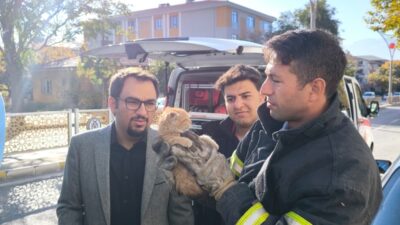 Haber: Muhammed Enes Sevilir Olay, Yeni Mahalle 314. Sokak’ta meydana