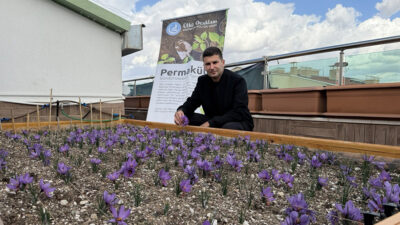 Haber: Muhammed Enes Sevilir Ülkü Ocakları Genel Merkezi, doğa dostu