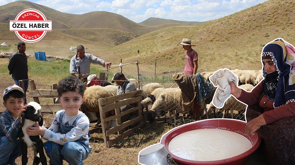 Haber: Muhammed Enes Sevilir Erzincan’da yaklaşık 3 bin tulum peyniri