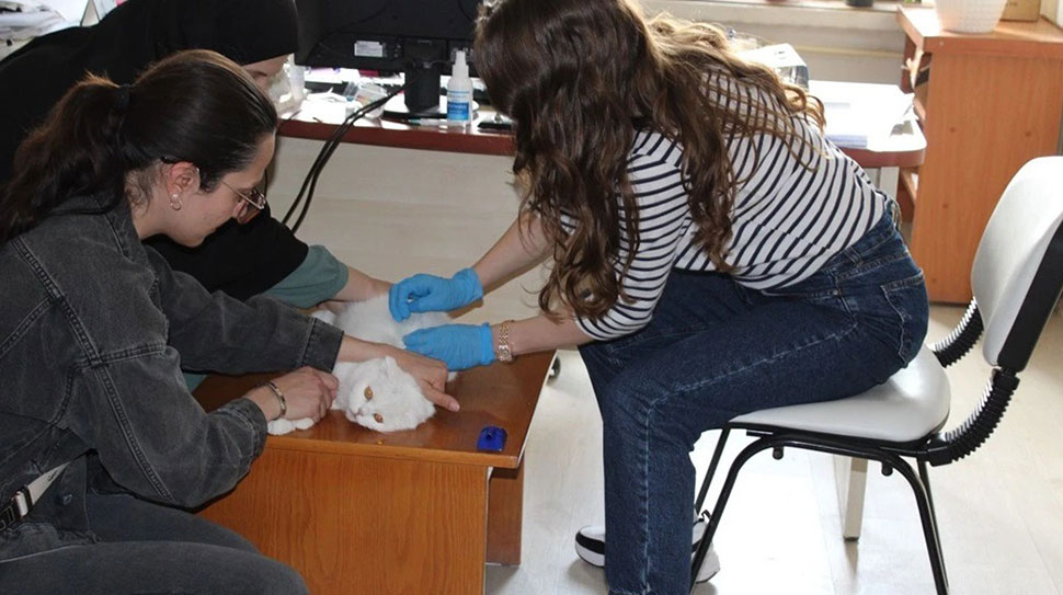 Haber: Muhammed Enes SEVİLİR Erzincan İl Tarım ve Orman Müdürü