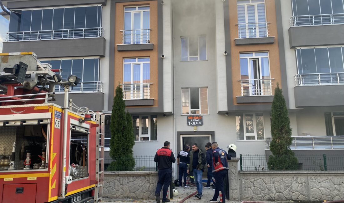 Haber: Muhammed Enes Sevilir Erzincan’da bir apartmanın bodrum katında çıkan