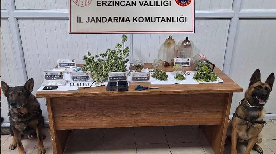 Haber: Muhammed Enes SEVİLİR Erzincan İl Jandarma Komutanlığı, Kasım 2025