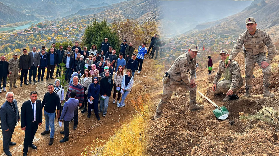 Haber: Muhammed Enes SEVİLİR 11 Kasım Millî Ağaçlandırma Günü kapsamında